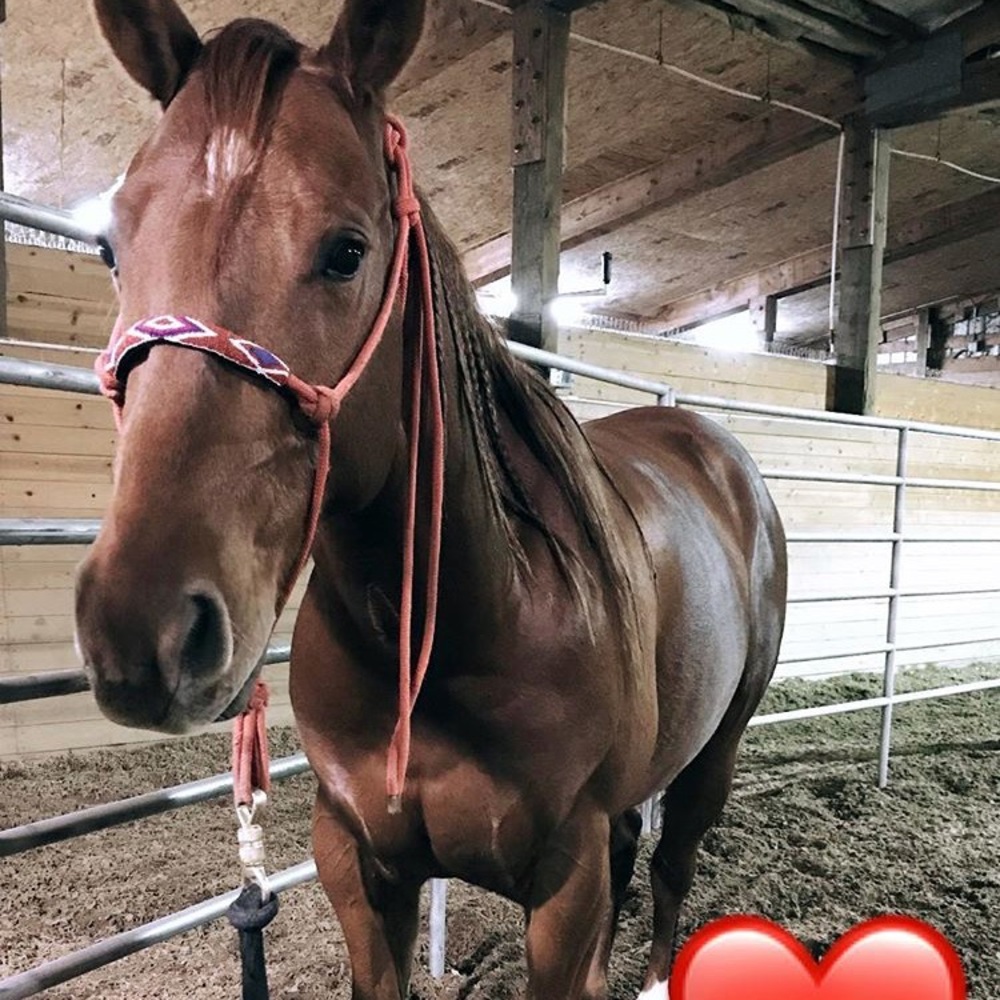Hi!